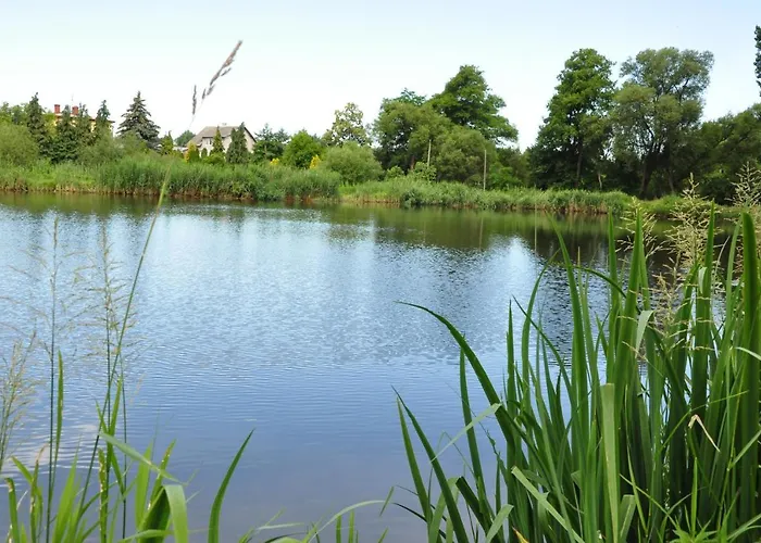 Czas Na Puszcze Puszcza Marianska