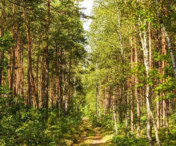 Apartamento Czas Na Puszcze *